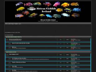 Free forum : African cichlids Ireland